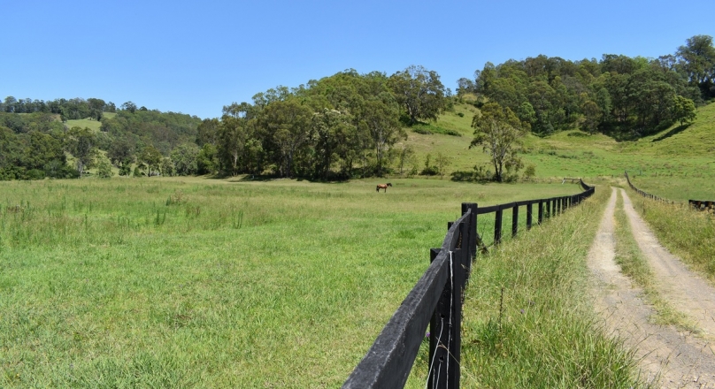 Take a look at our new listing at 344 Hilldale Road Hilldale NSW